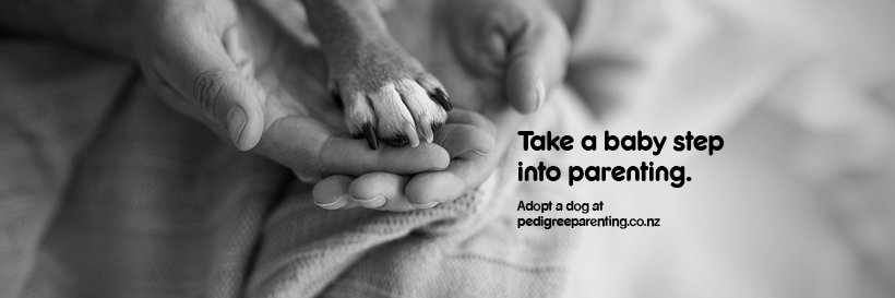 Pedigree_NZ's profile banner image