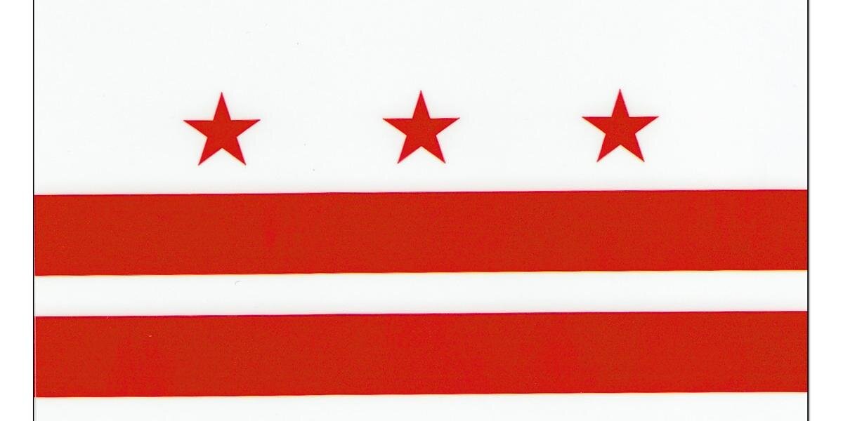 Rene Bryce-Laporte banner