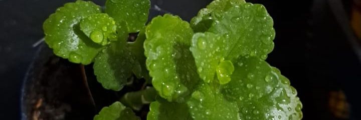 iamjerking's profile banner image