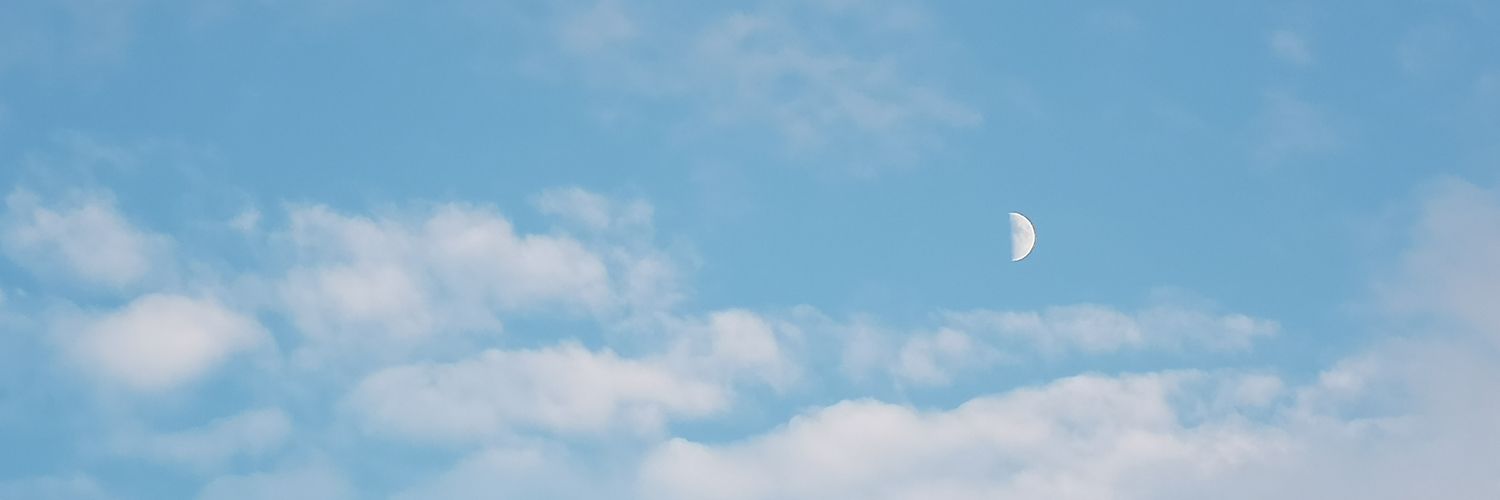 Deviluna's profile banner image