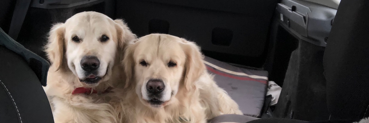 Sebastien Lenoir banner