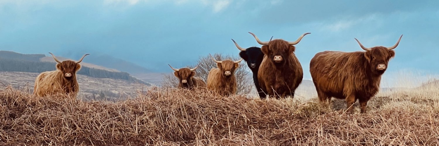 🏴󠁧󠁢󠁳󠁣󠁴󠁿 andrew prentice banner