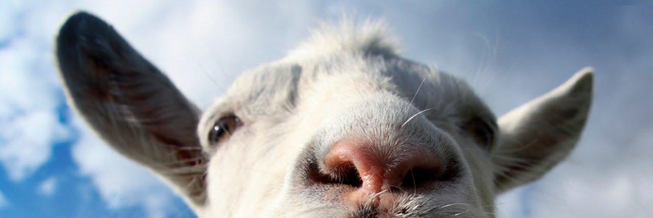GoatsCanClimb's profile banner image