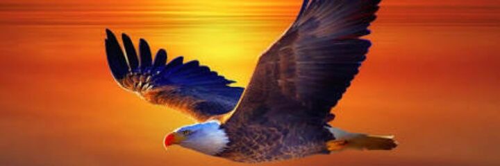 ASHISHJSP's profile banner image