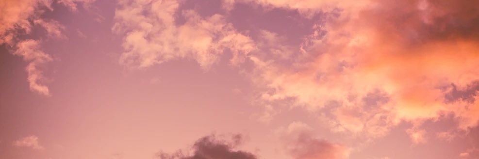 candacemc09's profile banner image