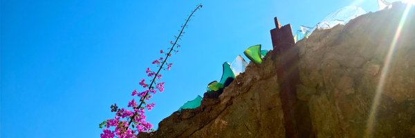 TSommerschield Profile Banner