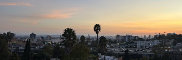 LAYoungDems Profile Banner