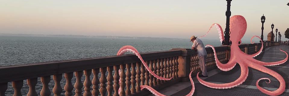 BarbaBeardo's profile banner image