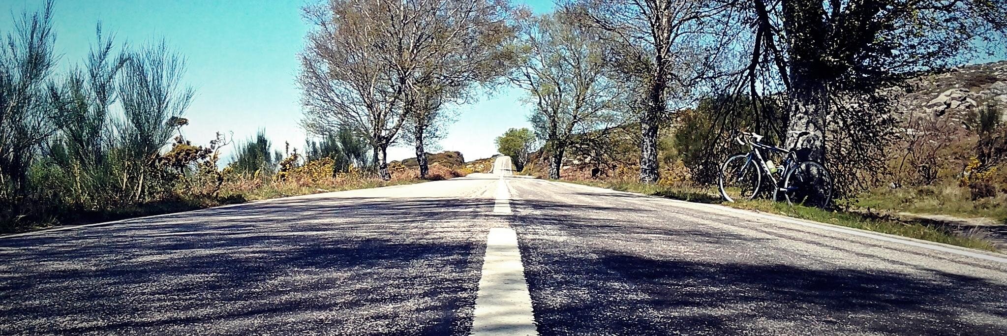 Leonel Português banner