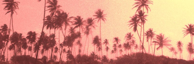 majosecuarta's profile banner image