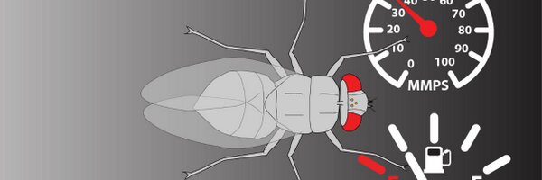 TheFlySide Profile Banner