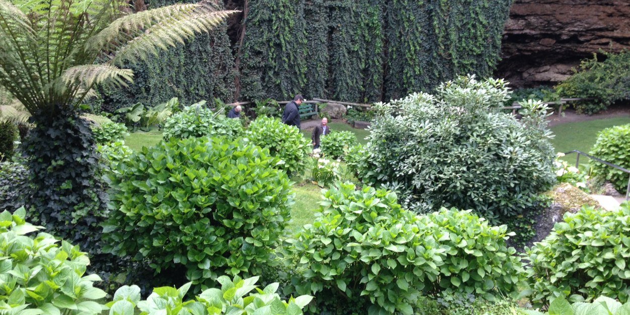 Mandy Ballinger banner