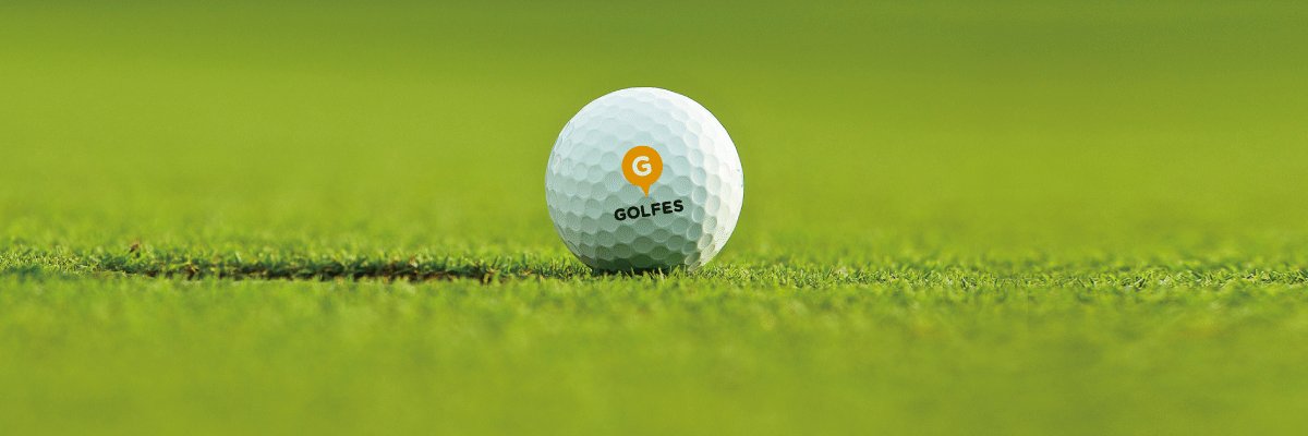 golfes_jp's profile banner image