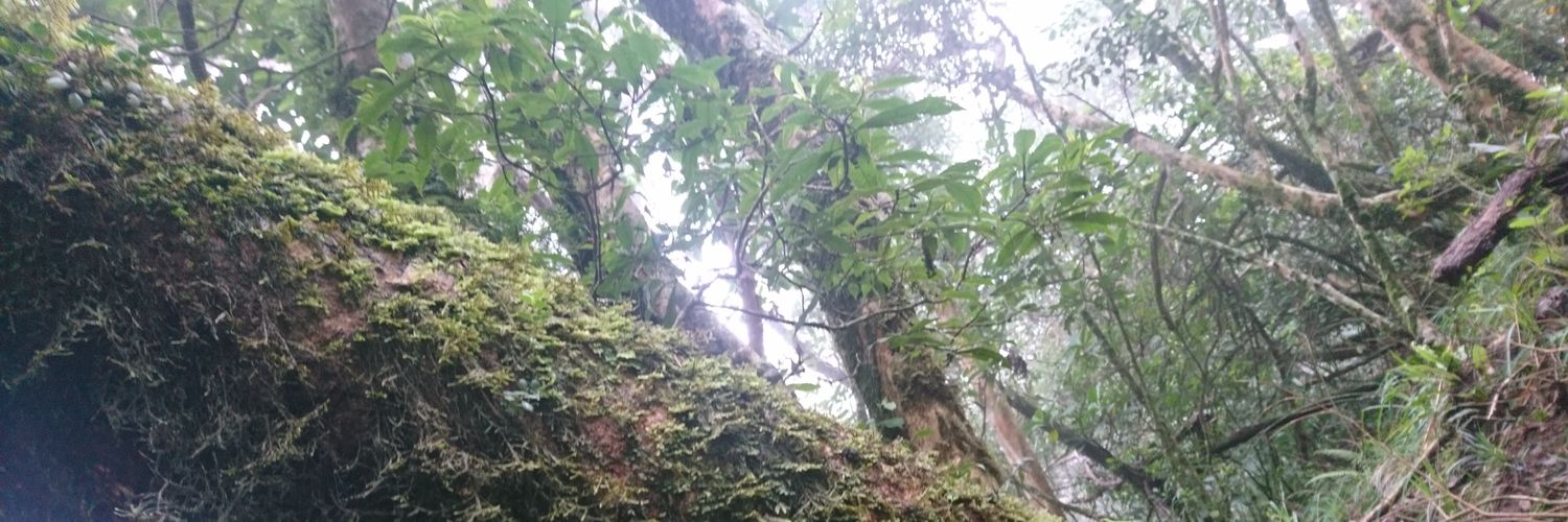 poloksosa's profile banner image