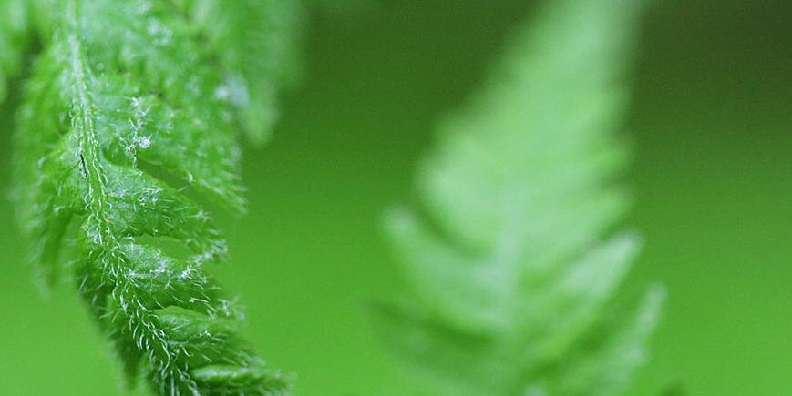chandan84764's profile banner image