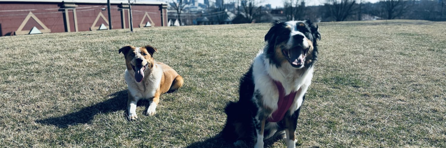 Jacob Dale White banner