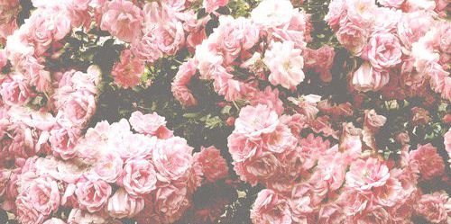 OtraaPoetaMas's profile banner image