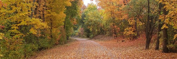 adamcsteiner Profile Banner