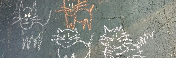 Stebe of the Stebes banner