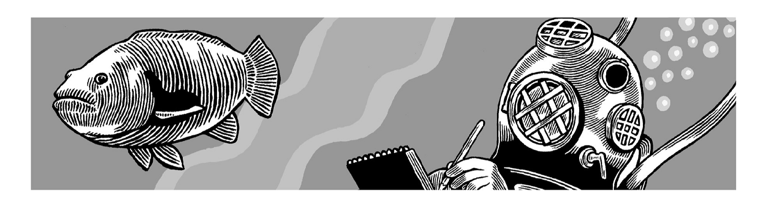 reciklaje's profile banner image