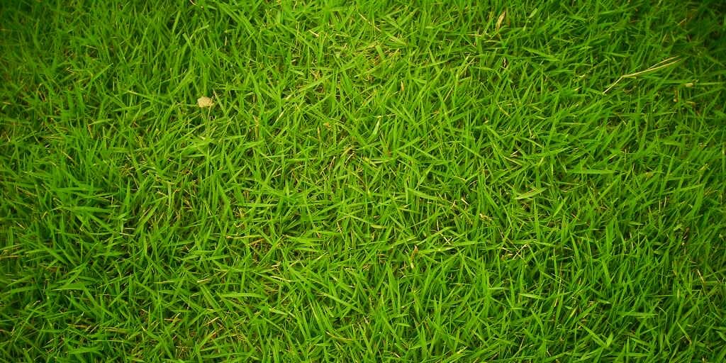 jayden7988's profile banner image