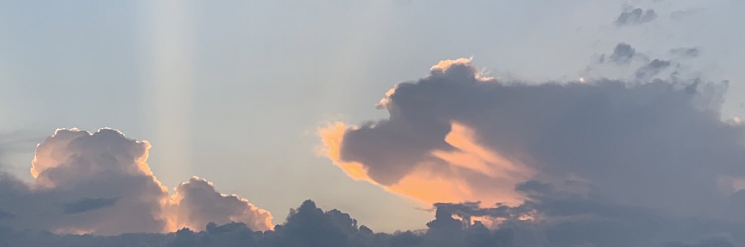 afavro_'s profile banner image