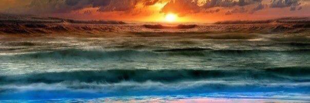 William Calixto banner