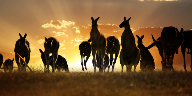 ukpensions2aus's profile banner image