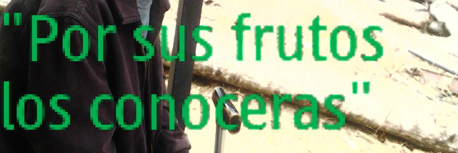 ngelRafaelC's profile banner image