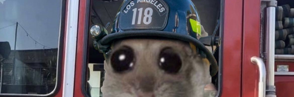 imalittlechef2's profile banner image