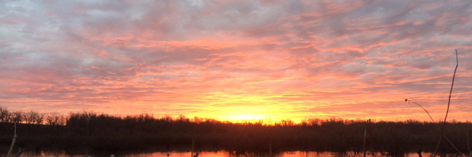Barrett Jackson banner