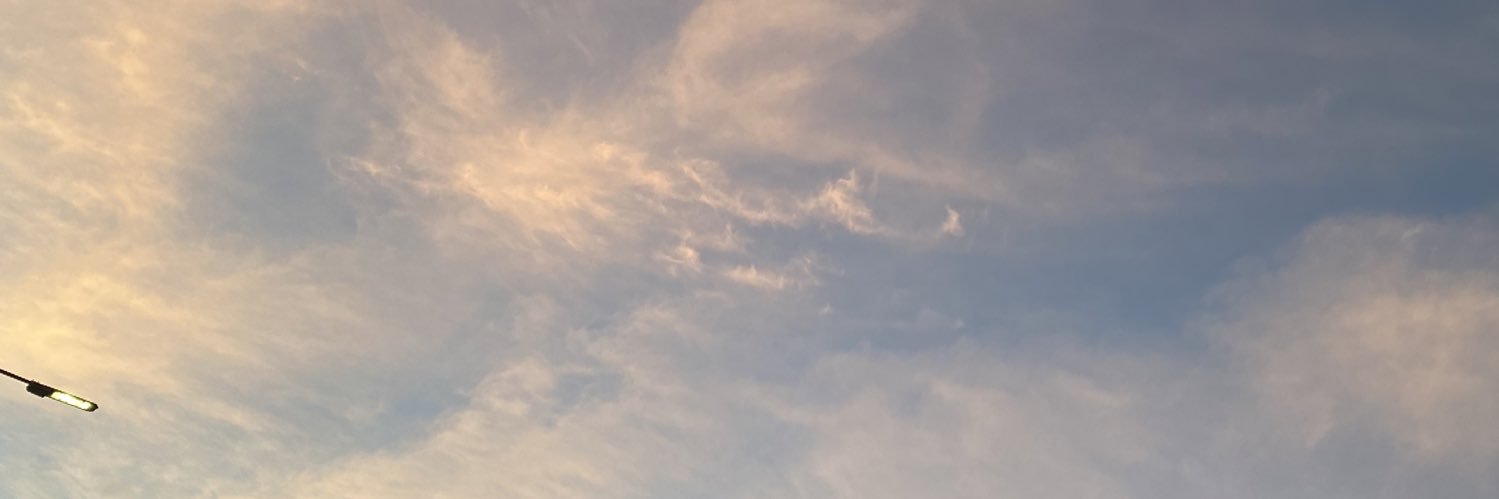 feayaya's profile banner image