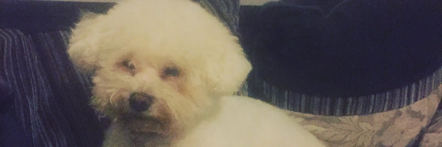 James Peagram banner