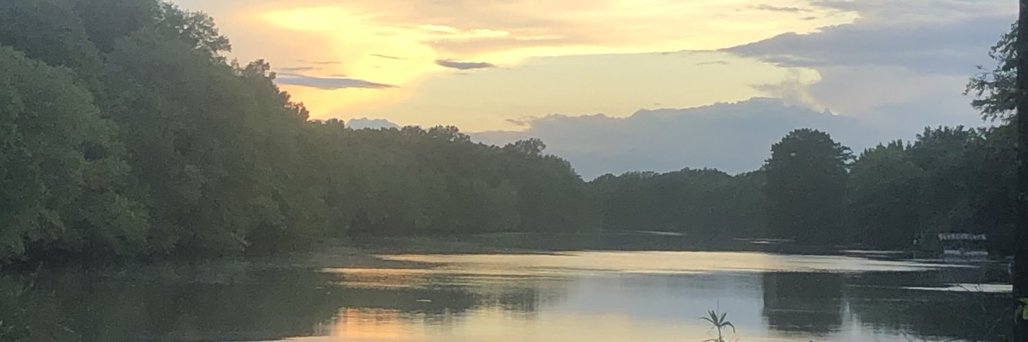 lhookerrogers's profile banner image