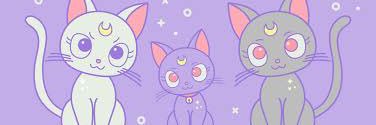 Y__1516's profile banner image