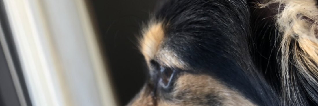 11yyu22's profile banner image