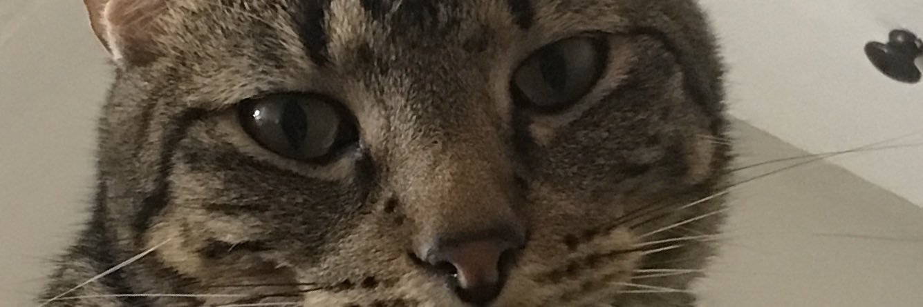 Kenneth Compton banner