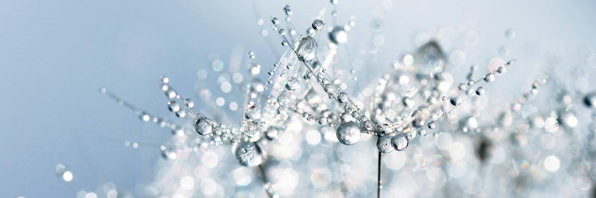 Simple Things banner