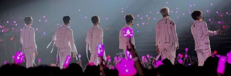 bloombinnie's profile banner image