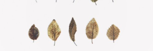 depresjaa's profile banner image