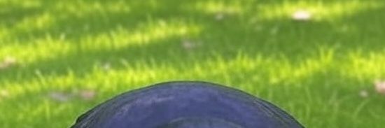grnbl banner