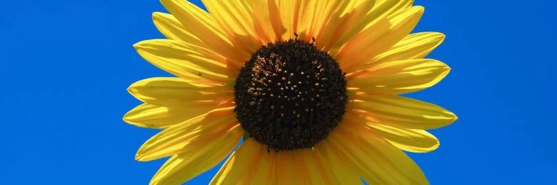 Just call me “E” banner