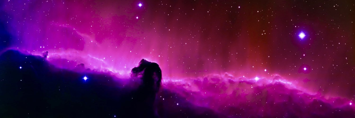 aanaavi_'s profile banner image