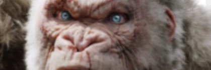 bruninhoaffonso's profile banner image