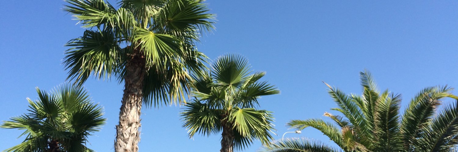 jedle's profile banner image