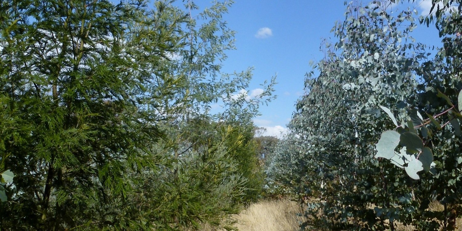 SGipton's profile banner image