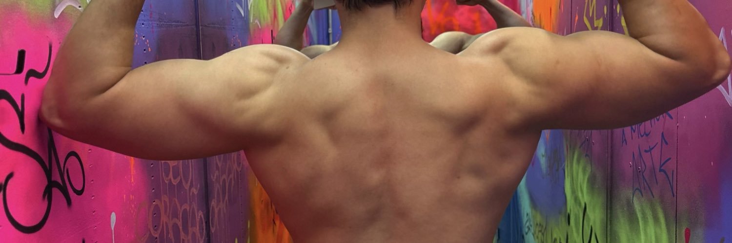 MikeVulgo's profile banner image