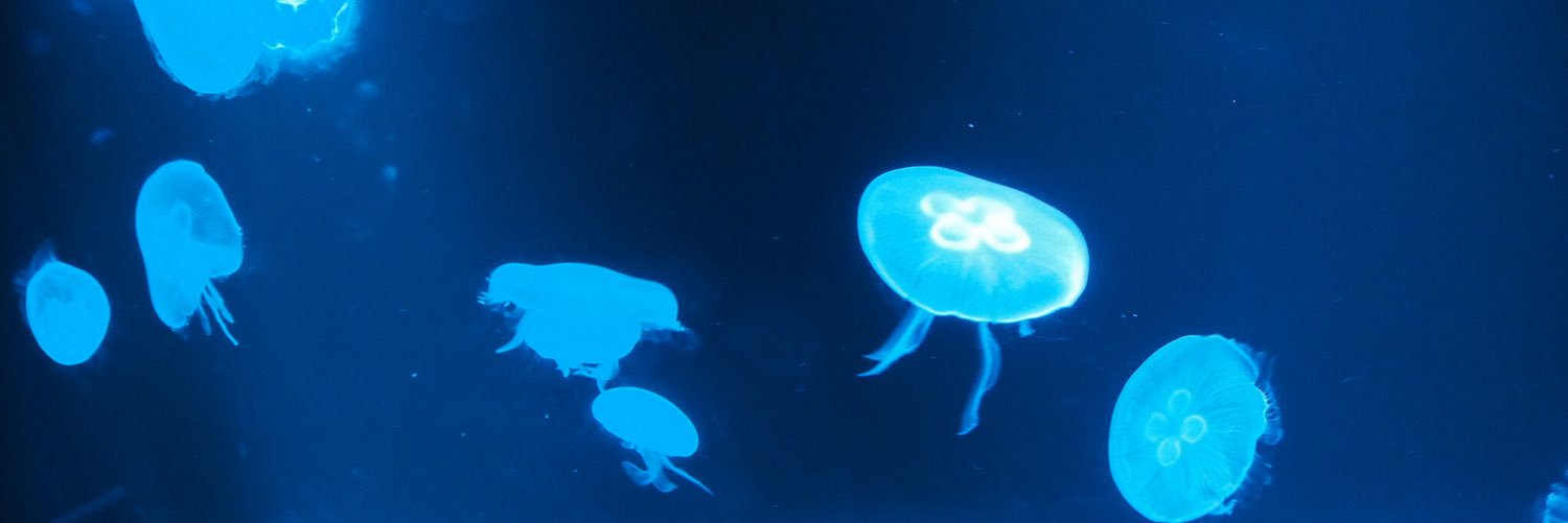 you_069's profile banner image