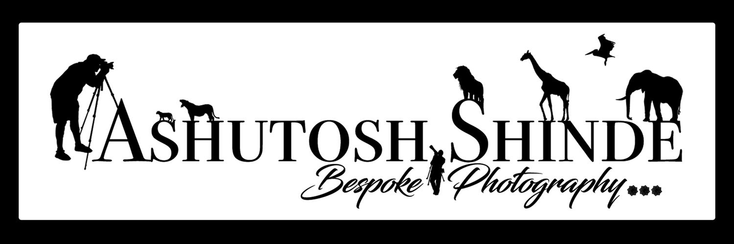 Ashutosh Shinde banner