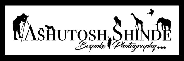 ShindeAshutosh Profile Banner
